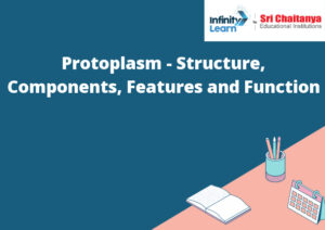 write an essay on the nature of protoplasm