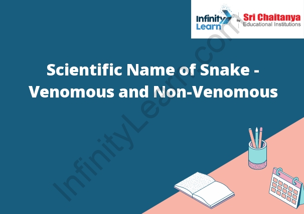 Scientific Name of Snake - Venomous and Non-Venomous