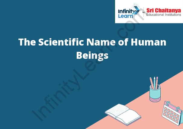 The Scientific Name of Human Beings