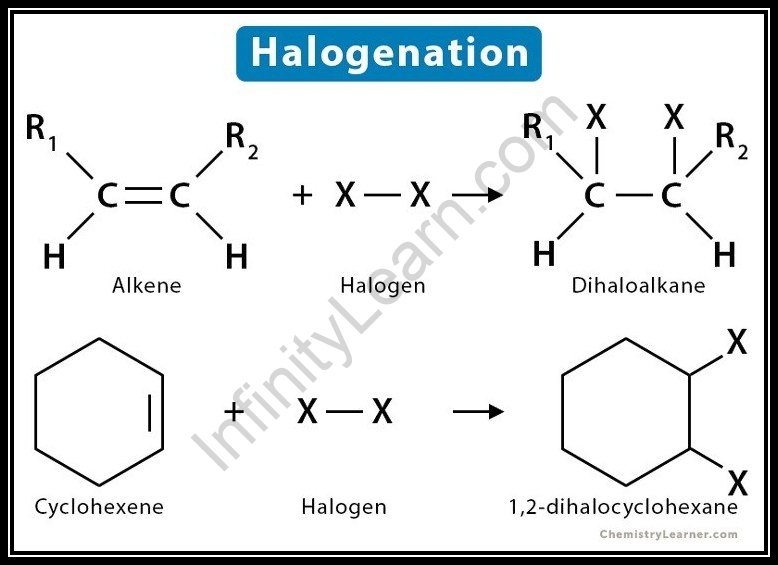 Important Topic of Chemistry Halogenation Reaction Infinity