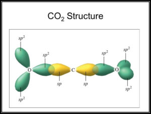 Hybridization Of Carbon Dioxide