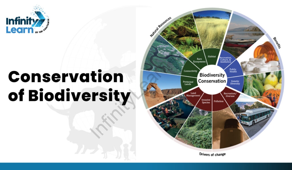 biodiversity research and conservation