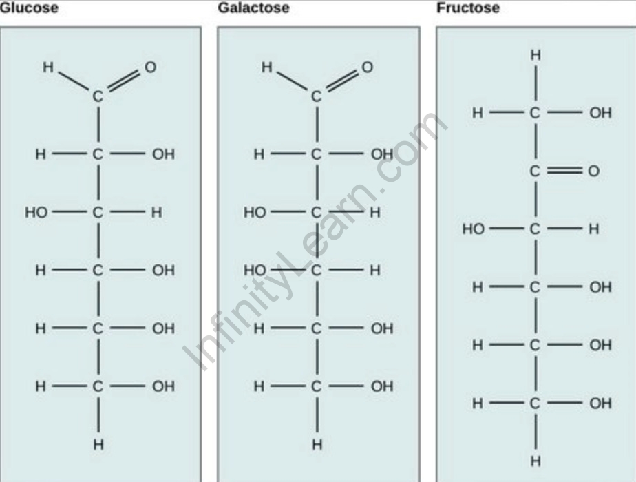 Sugar Chemical Formula Structure At Chris Shenita Blog