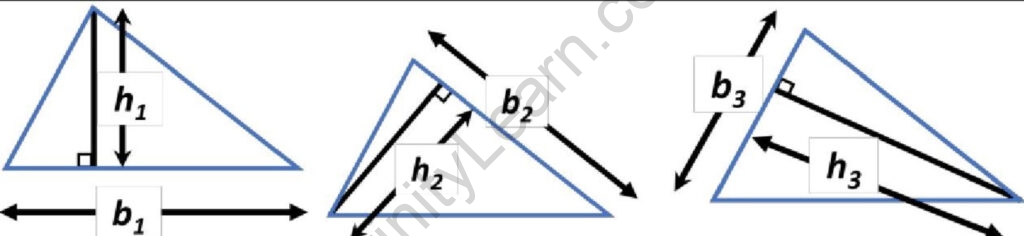 Triangle with different bases