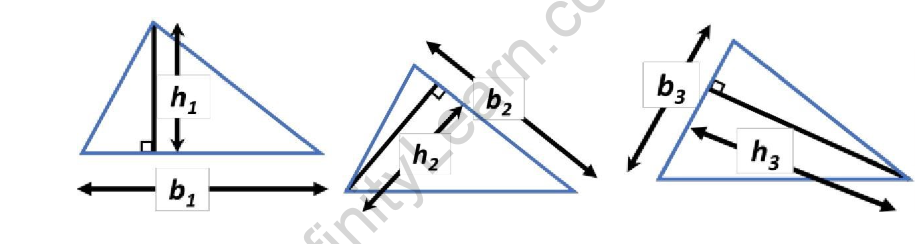 Base and Height of a triangle