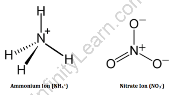 Ammonium Nitrate Formula Sri Chaitanya Infinity Learn Best Online