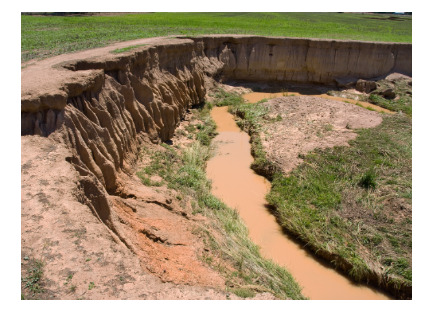 Soil erosion 
