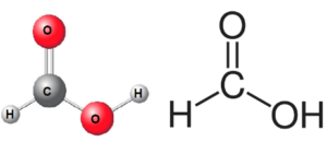 Methanoic Acid Structure