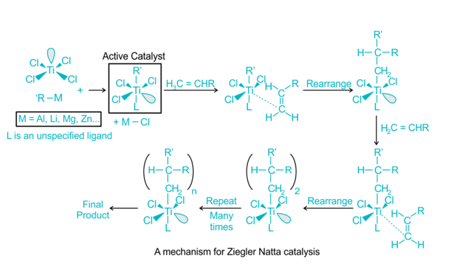 Ziegler Natta Catalyst Mechanism