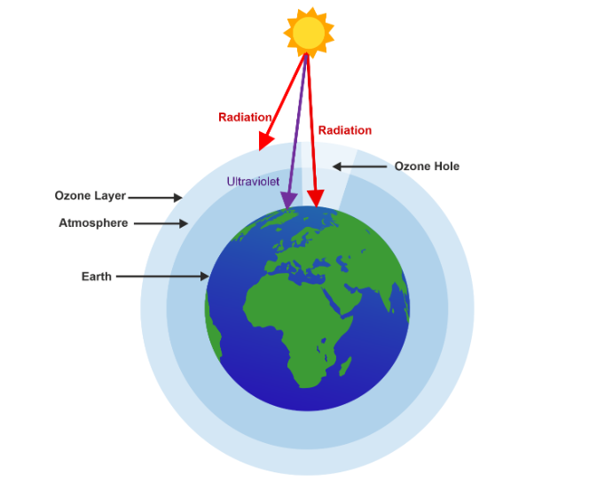 Ozone Layer Depletion - Cause, Effects, and Solutions - CBSE Tuts