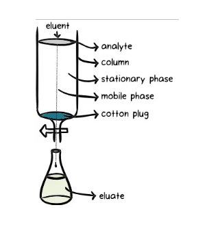 Chromatography Diagram