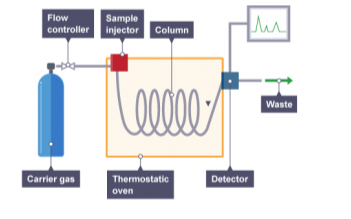 Gas Chromatography