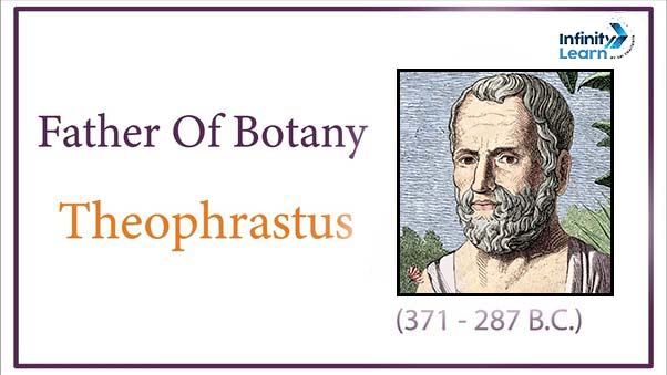 father of botany