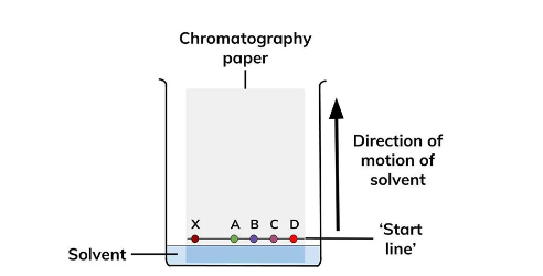 Paper Chromatography