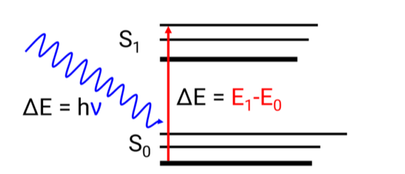 Principle of UV visible spectroscopy