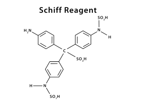 Schiff reagent structure