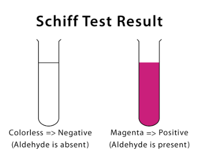 schiff test result