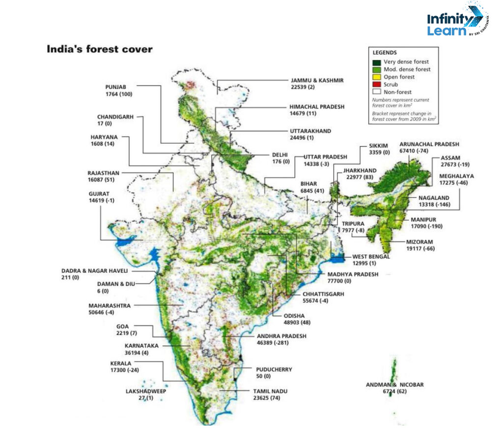 Forest Map of India - Importance, Types and Regions | IL