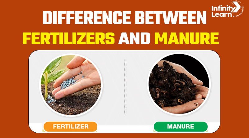 Difference Between Manure and Fertilizers
