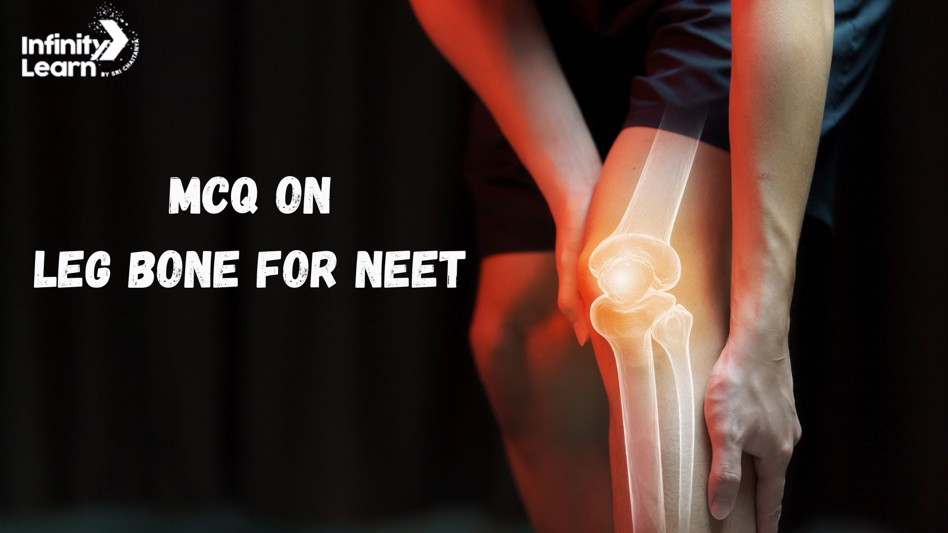 MCQ on Leg Bone for NEET