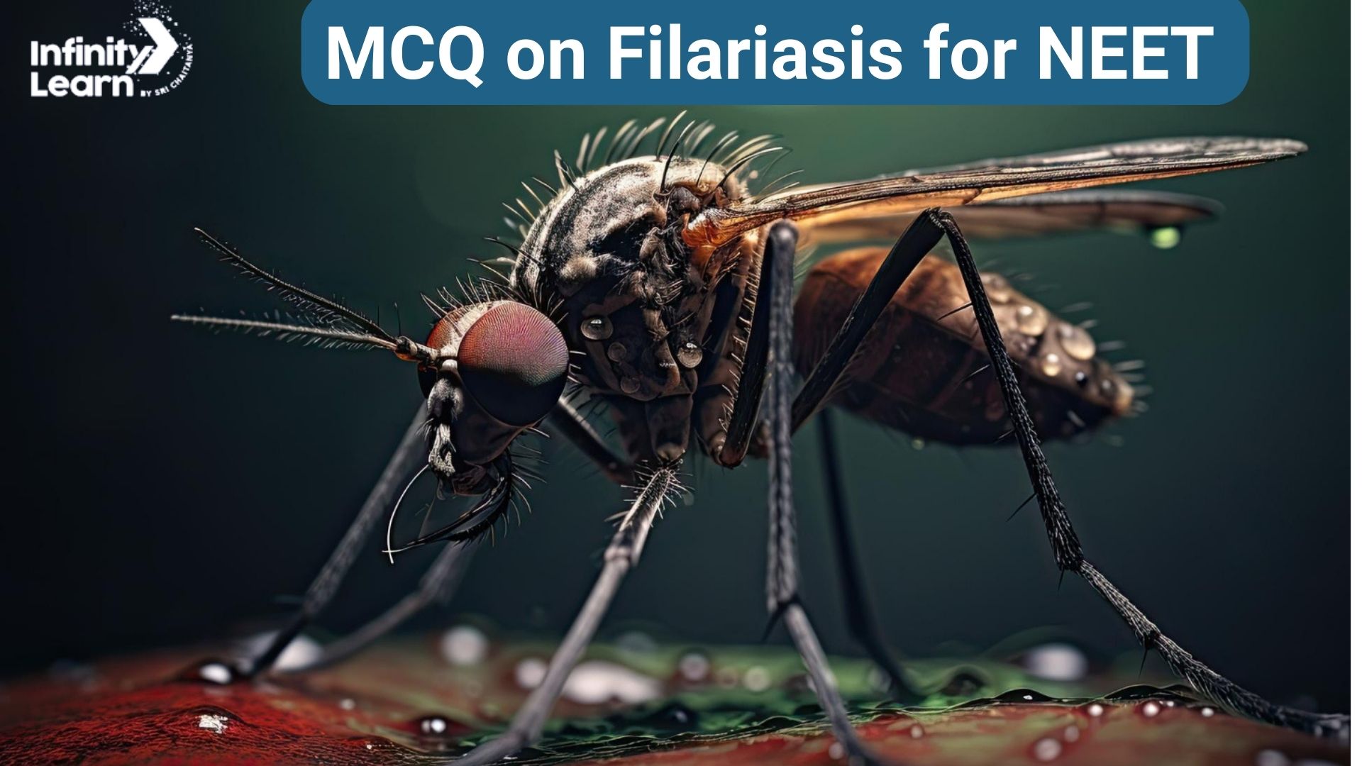 MCQ on Filariasis for NEET