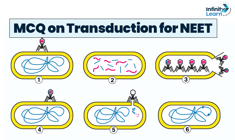MCQ on Transduction for NEET