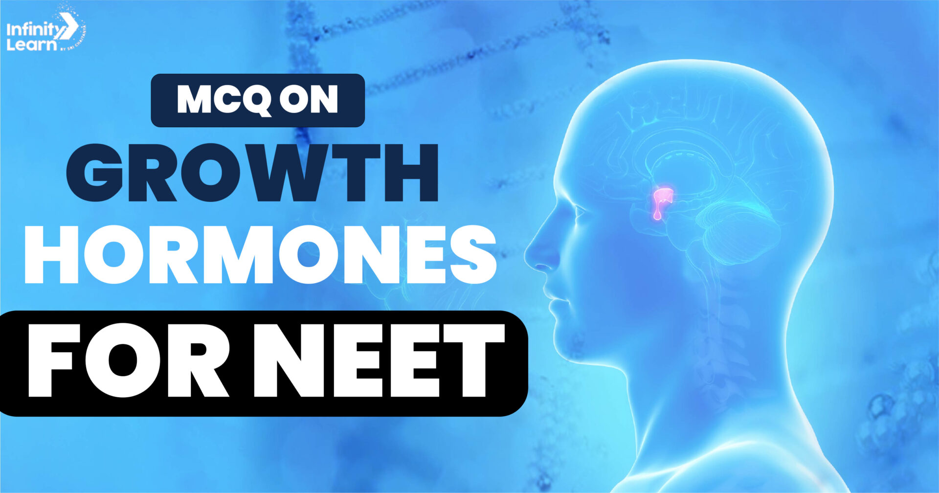 MCQ on Growth Hormones for NEET