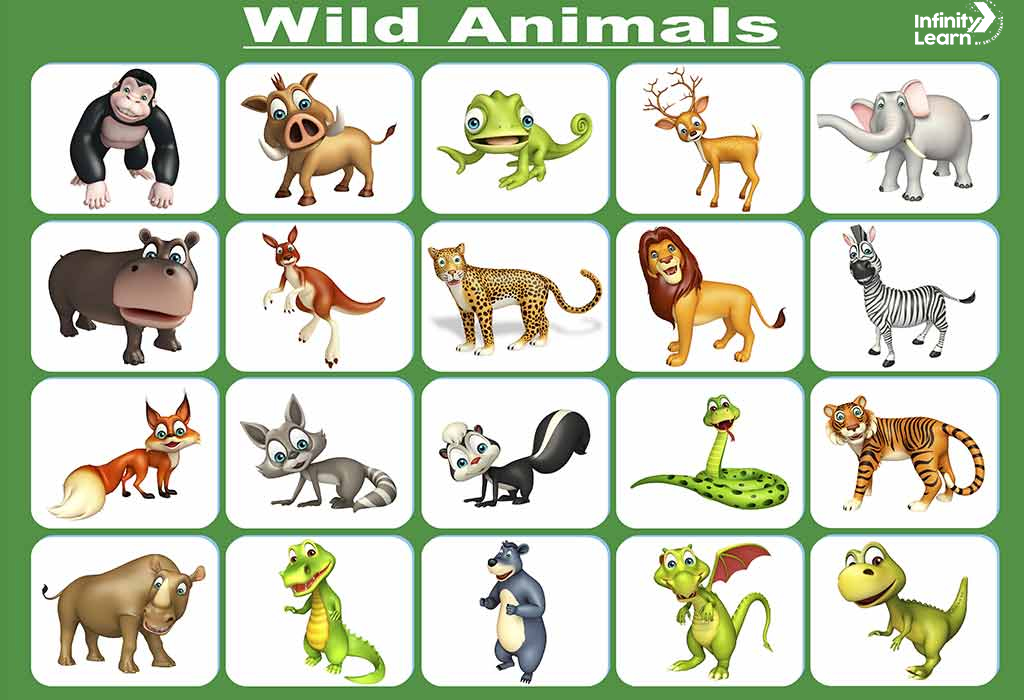 wild animals images with names 