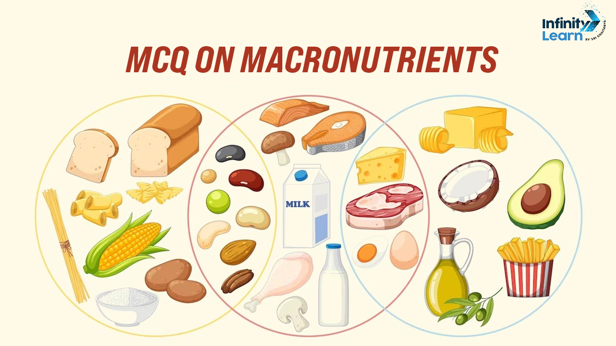 MCQ on Macronutrients for NEET