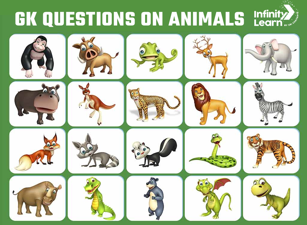 GK Questions on Animals