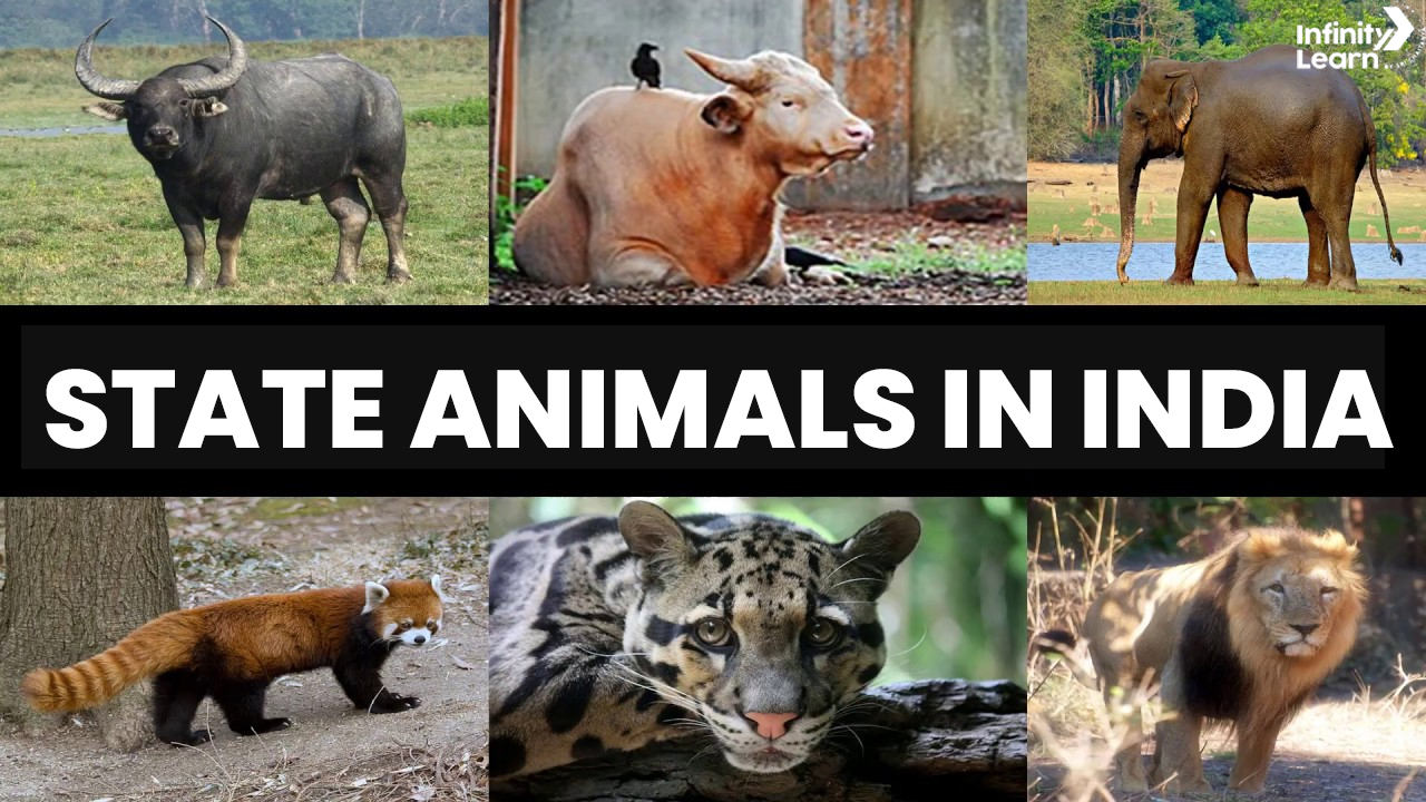 State Animals in India 