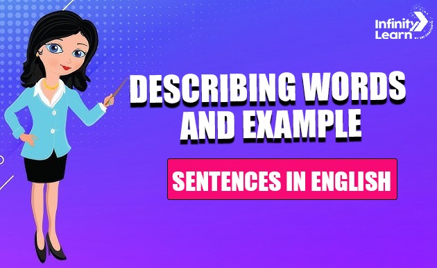 Describing Words and Example Sentences in English 