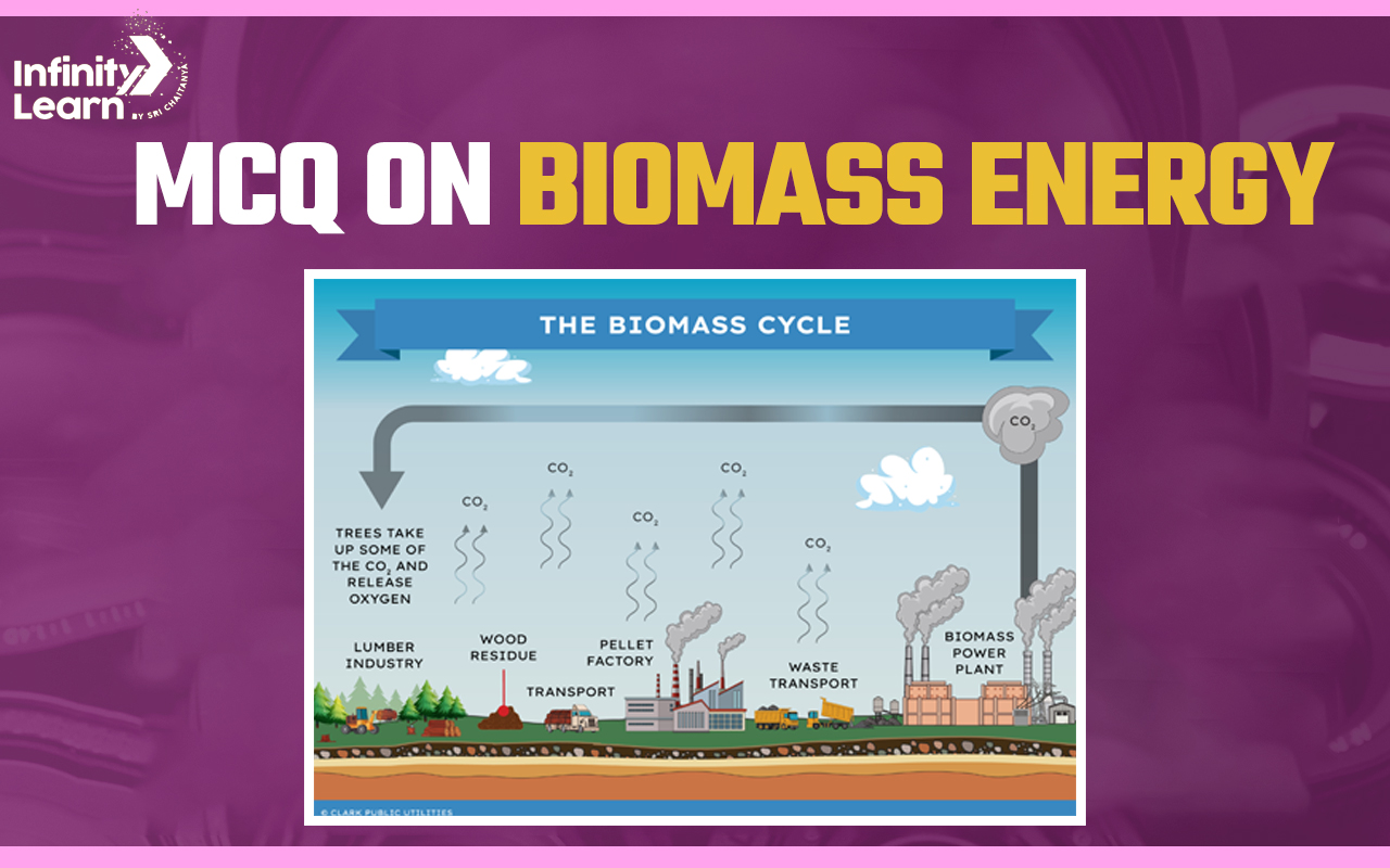 MCQ on Biomass Energy for NEET