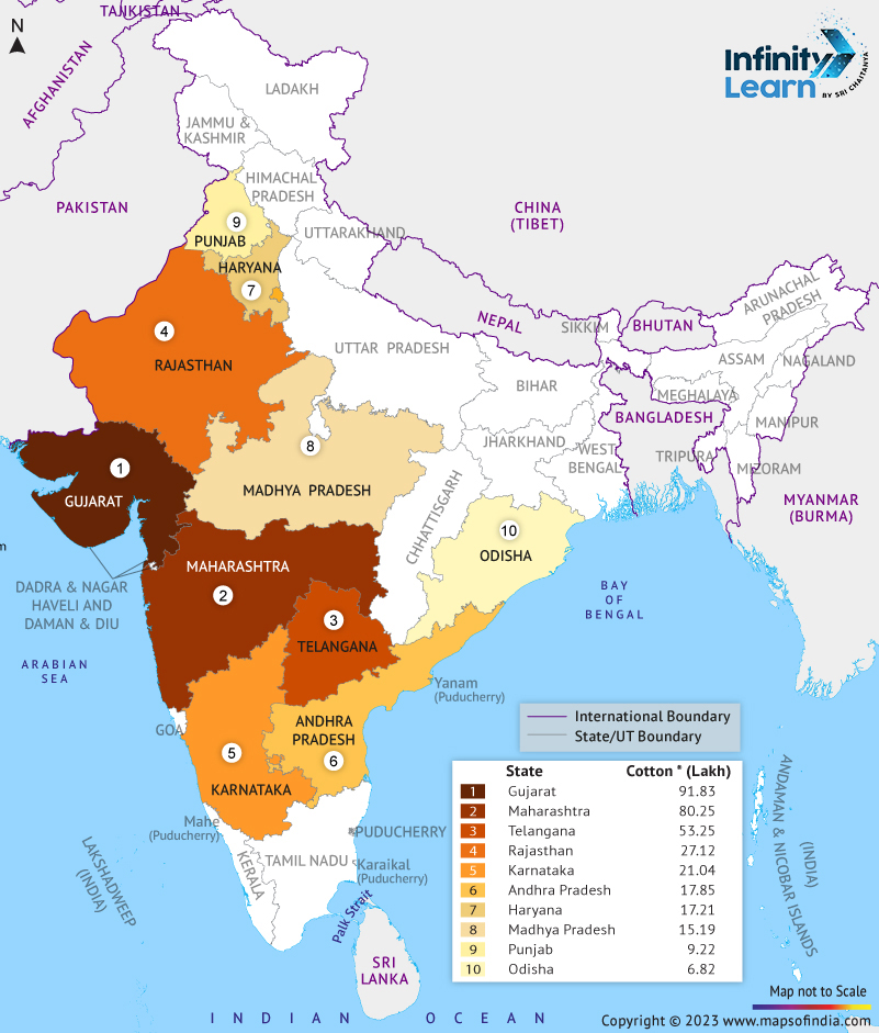 Cotton Producing States in India Map