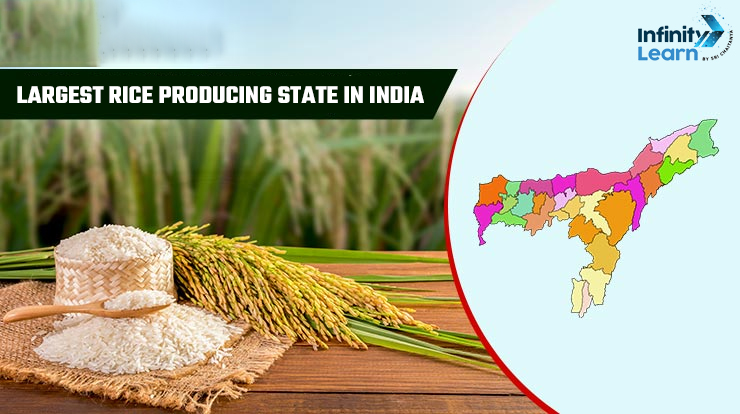 Largest Rice Producing State in India