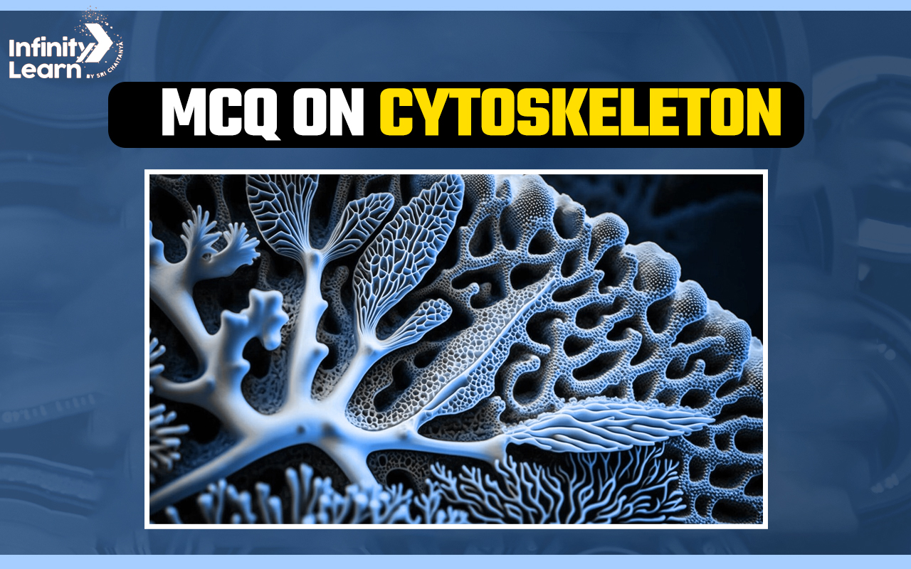 MCQ on Cytoskeleton for NEET