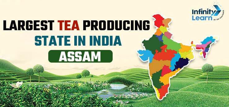 Largest Tea Producing State in India