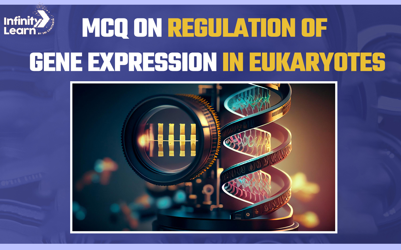 MCQ on Regulation of Gene Expression in Eukaryotes for NEET