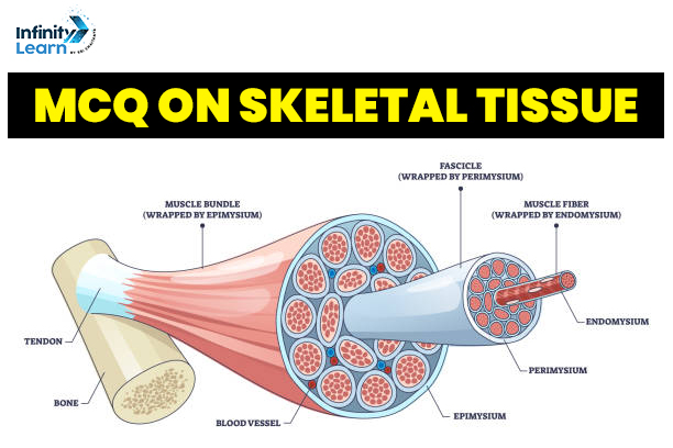 MCQ on Skeletal Tissue for NEET