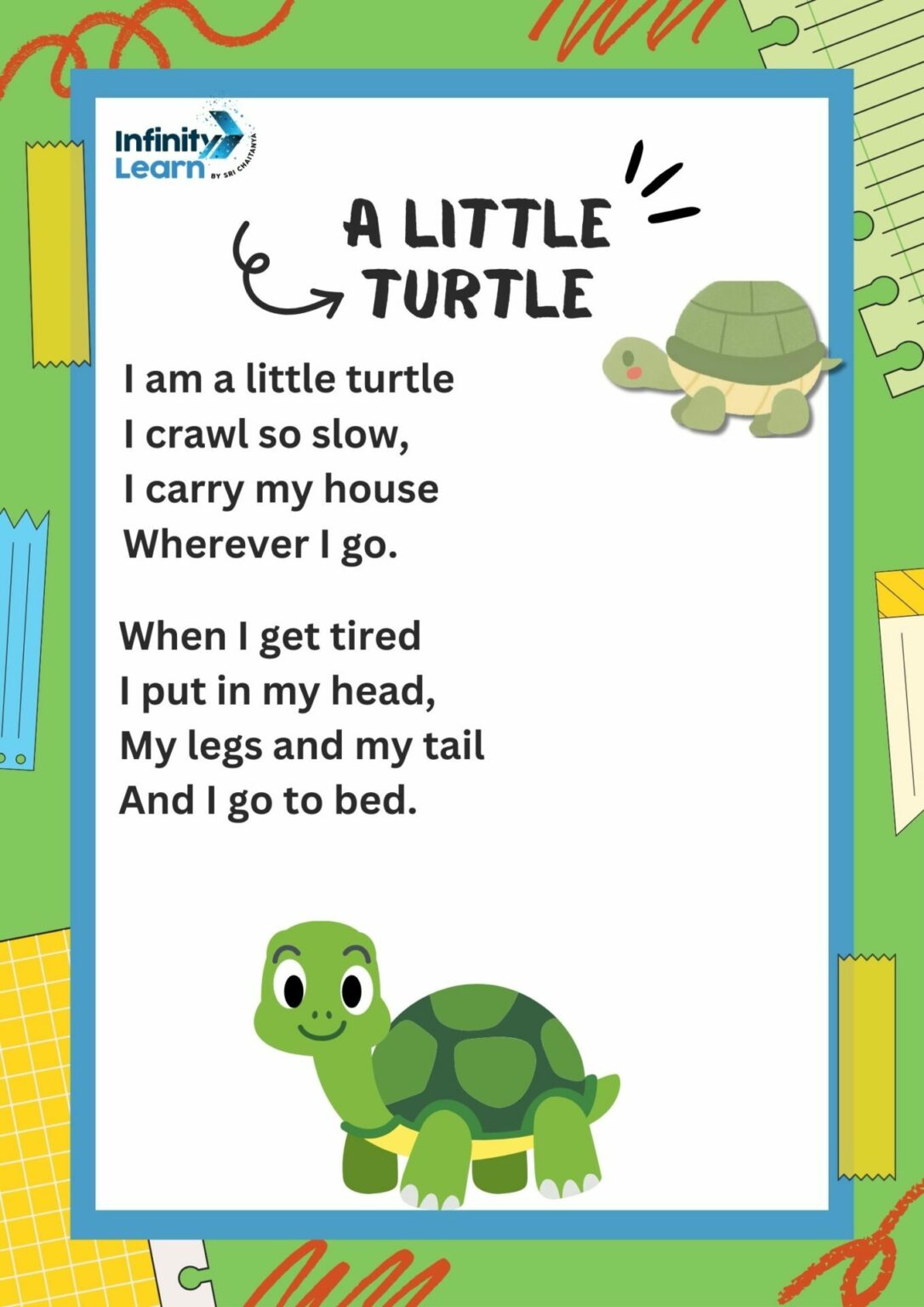 A Little Turtle Poem for Class 1 English