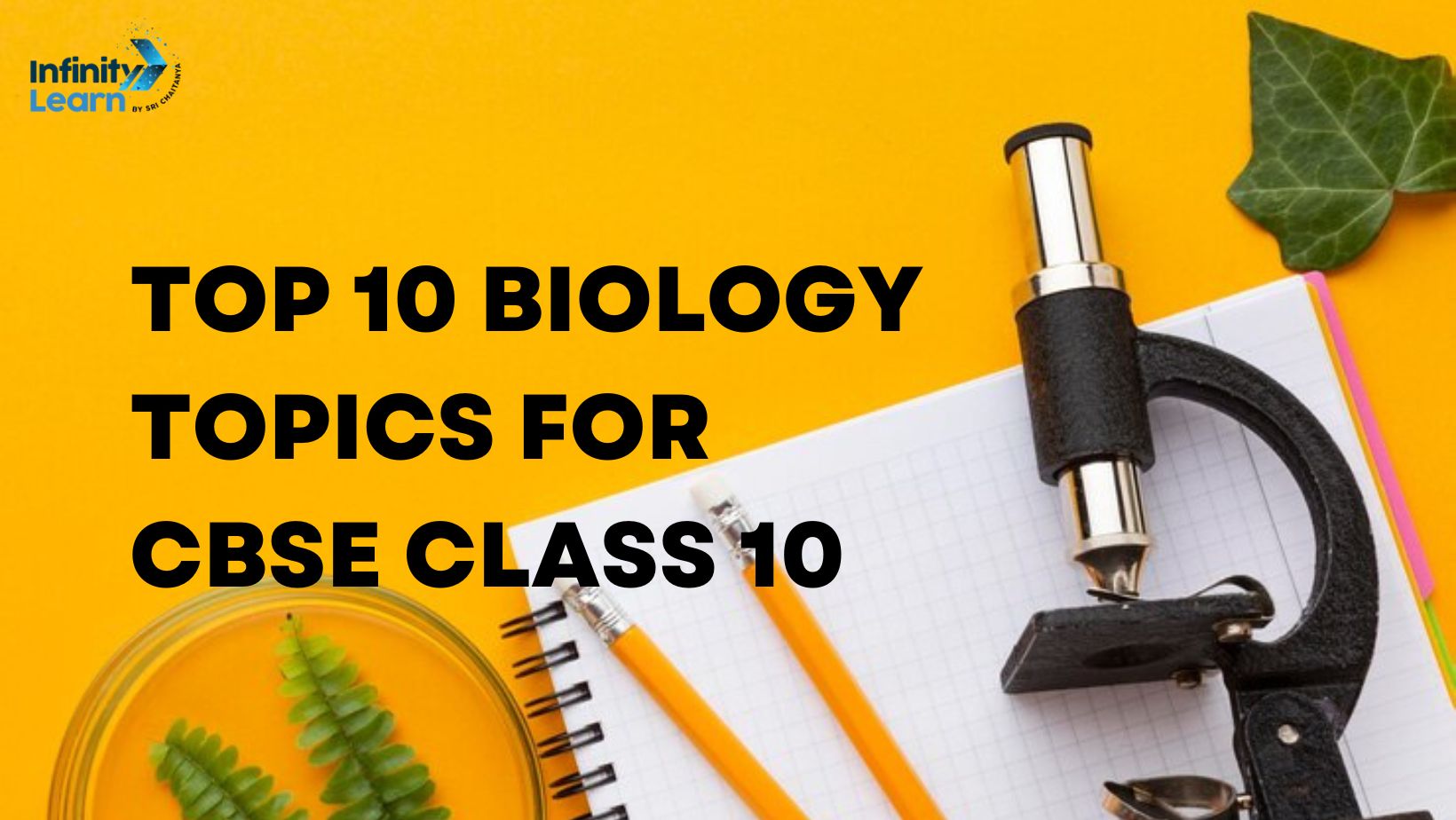 Top 10 Biology Topics for CBSE Class 10