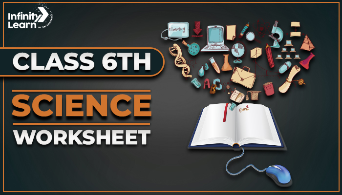 CBSE Worksheets for Class 6 Science 