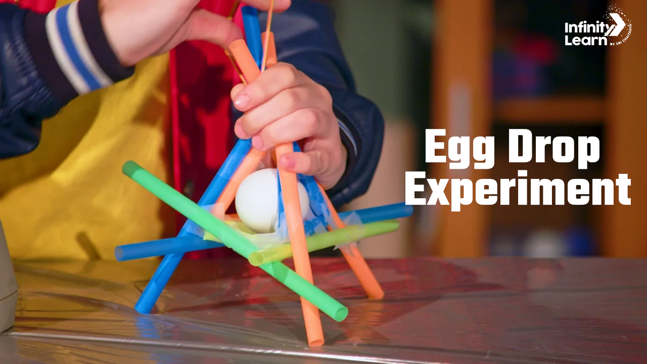 science project ideas for Class 10 - Egg Drop Experiment