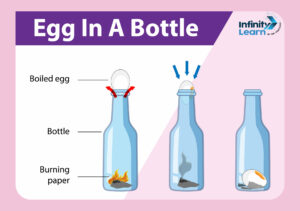 Egg in a Bottle 