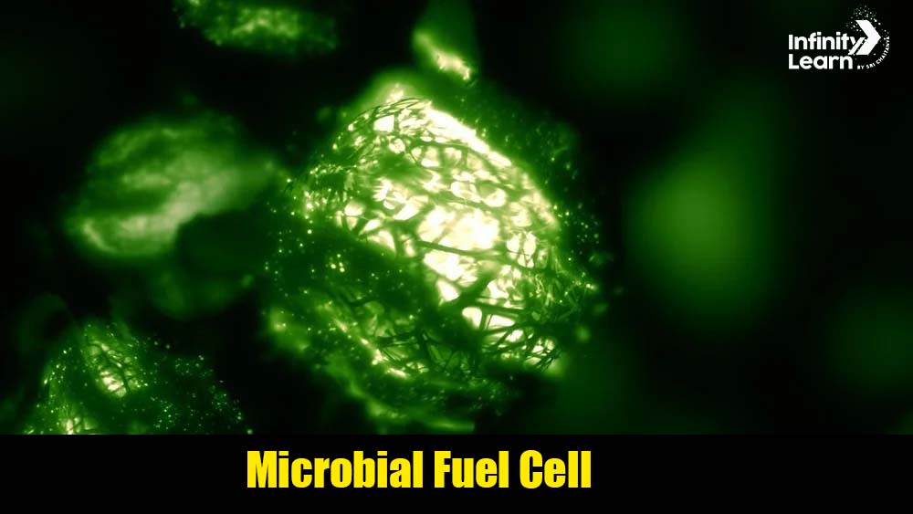 science project ideas for class 9 - Microbial Fuel Cell