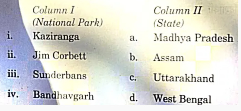 cbse class 10 social science answer key 2024 set 2