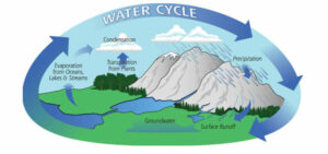 water cycle diagram