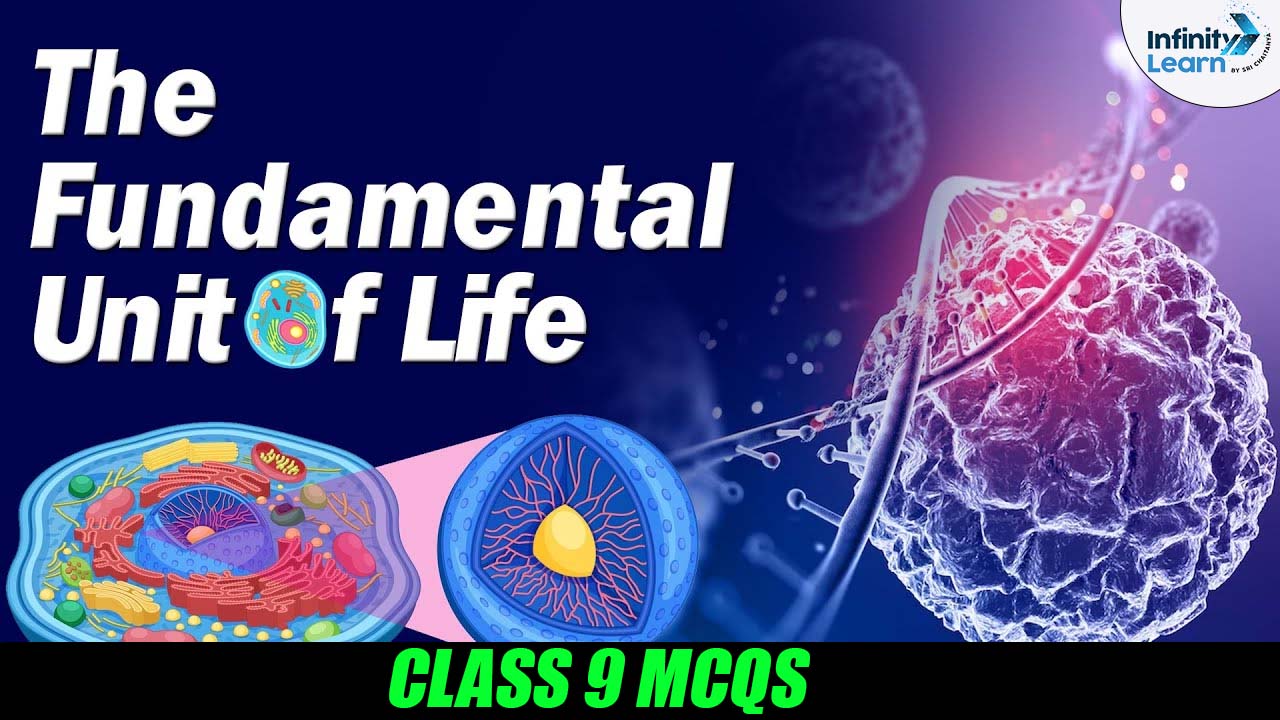The Fundamental Unit of Life Class 9 MCQs 