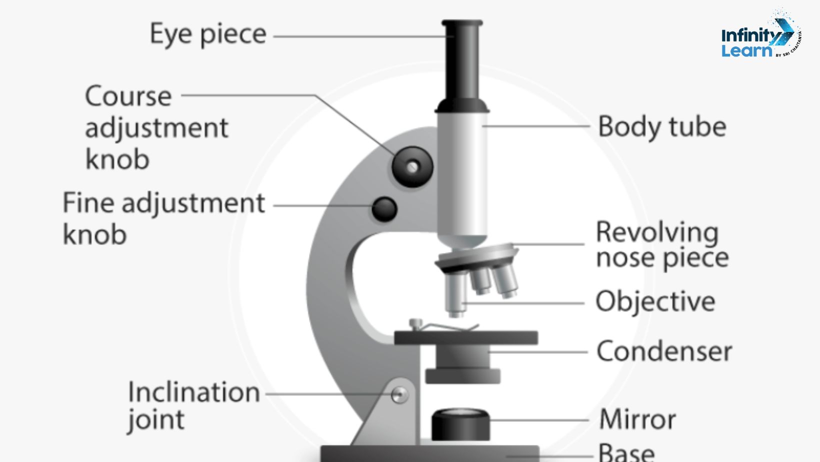 compound microscope labelled diagram