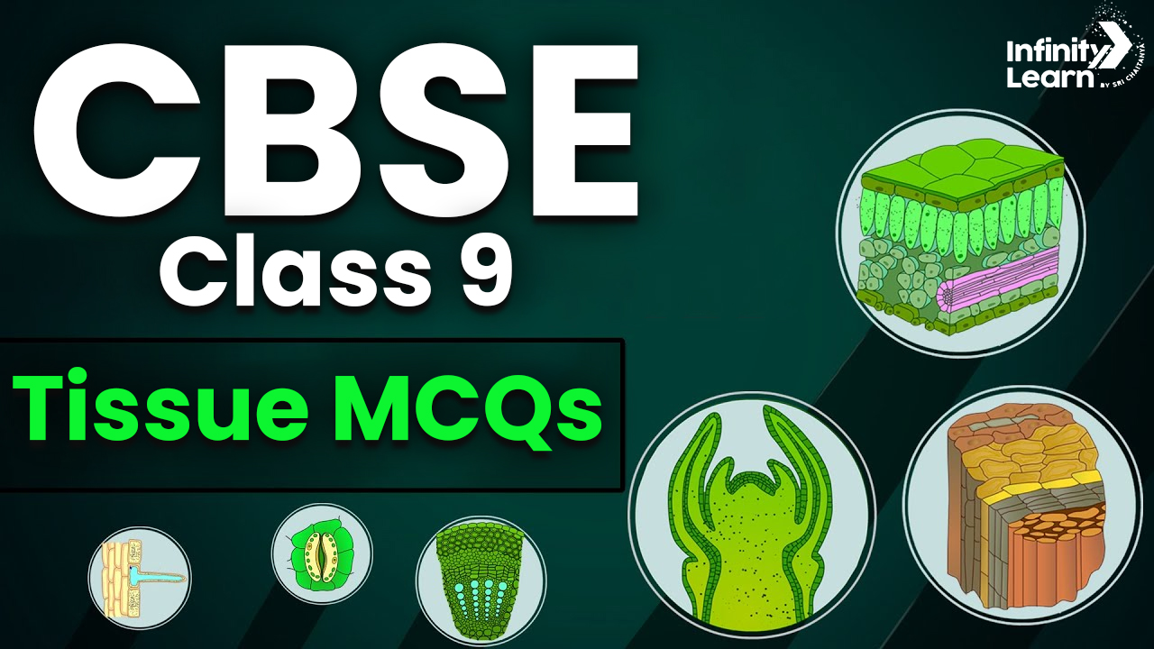 CBSE Class 9 Tissue MCQs 